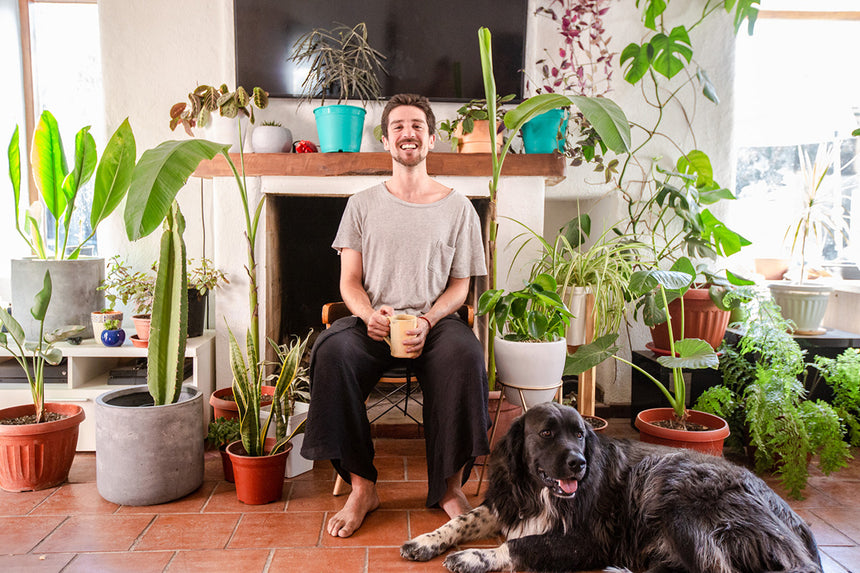 #PlantFamily: Ricardo Sovino y su selva en Pirque