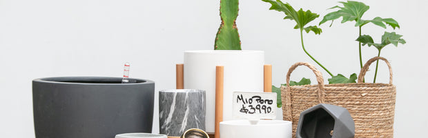 #CyberLepotit Hasta 40% OFF en Maceteros