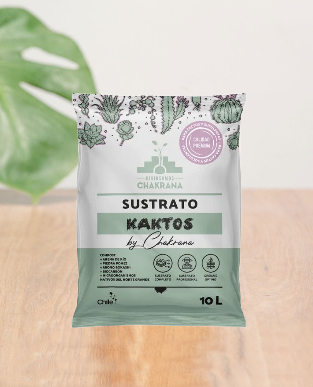 Sustrato para suculentas