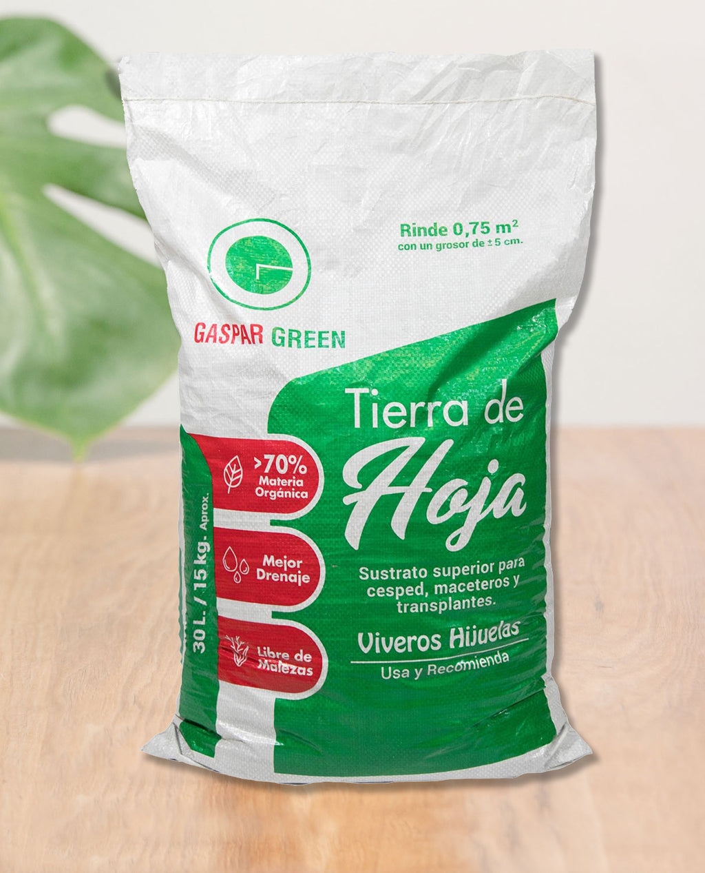Tierra de Hojas