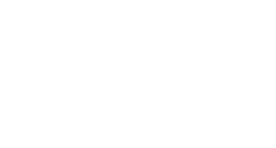 lepotit