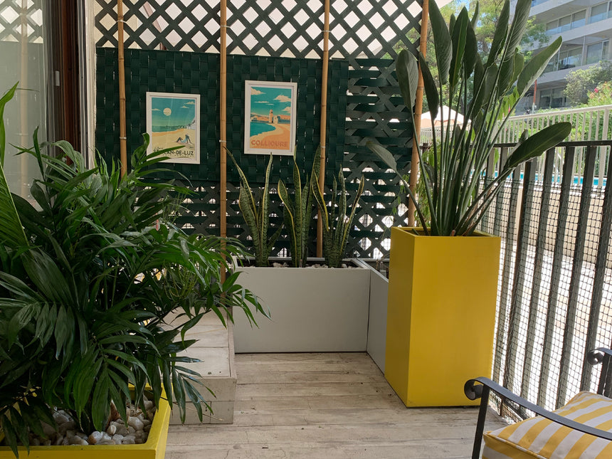 Tus espacios con plantas