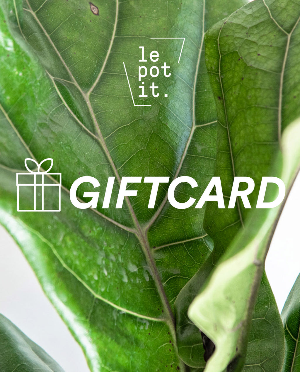 Giftcard - Regala Plantas