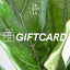Giftcard - Regala Plantas