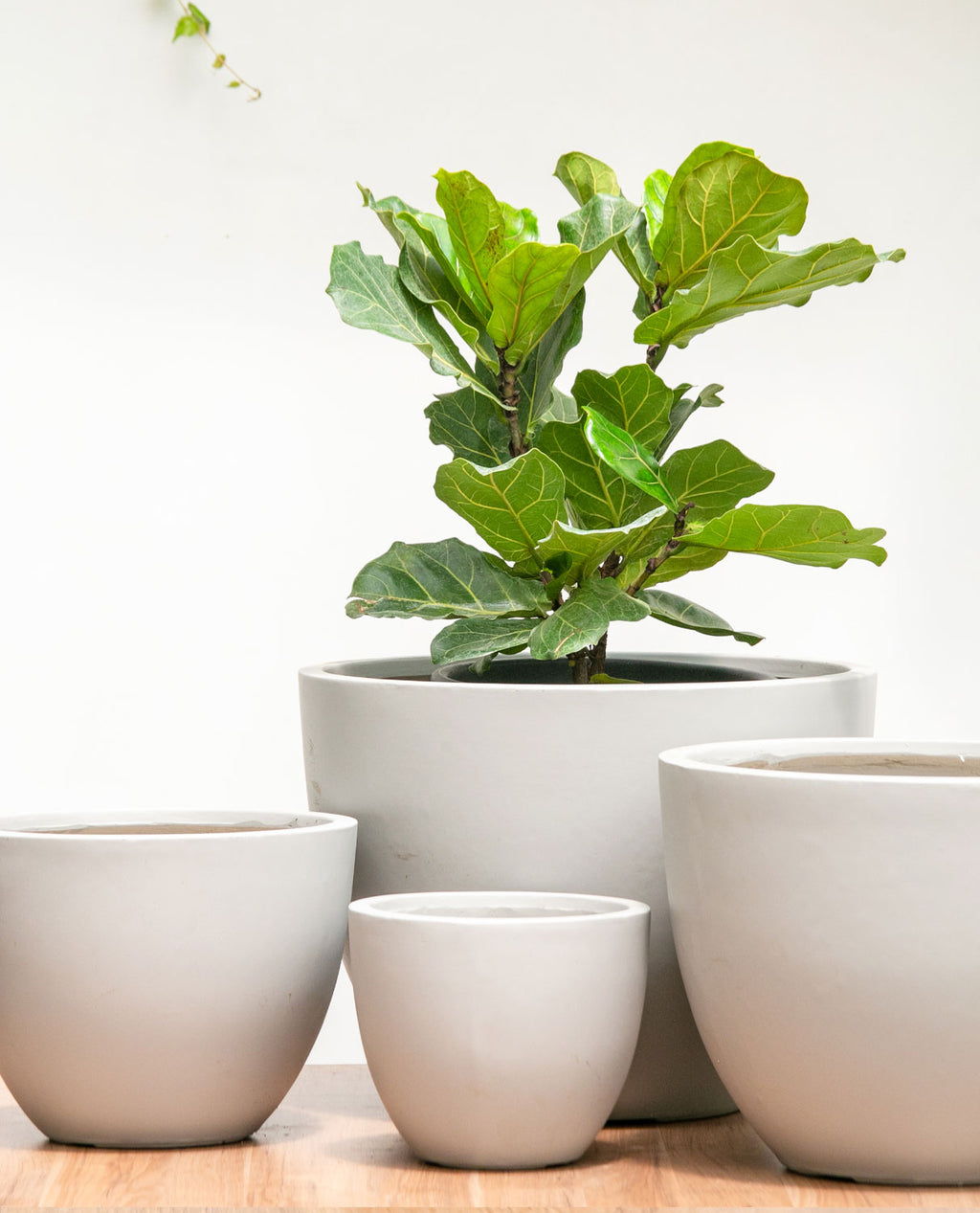 Set 4 maceteros bowl fibra concreto