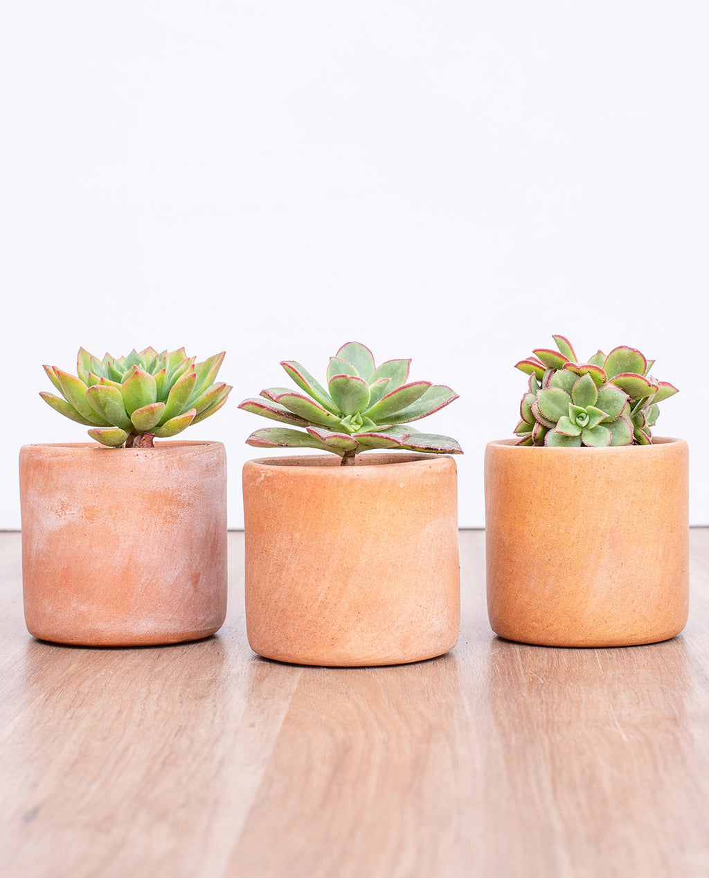 Trio Sucu Greda Pañul